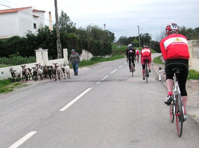 wir sind nicht ganz allein