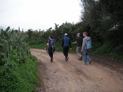 Spaziergang zum Strand