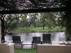 Regen fotografiert man besser aus dem Haus